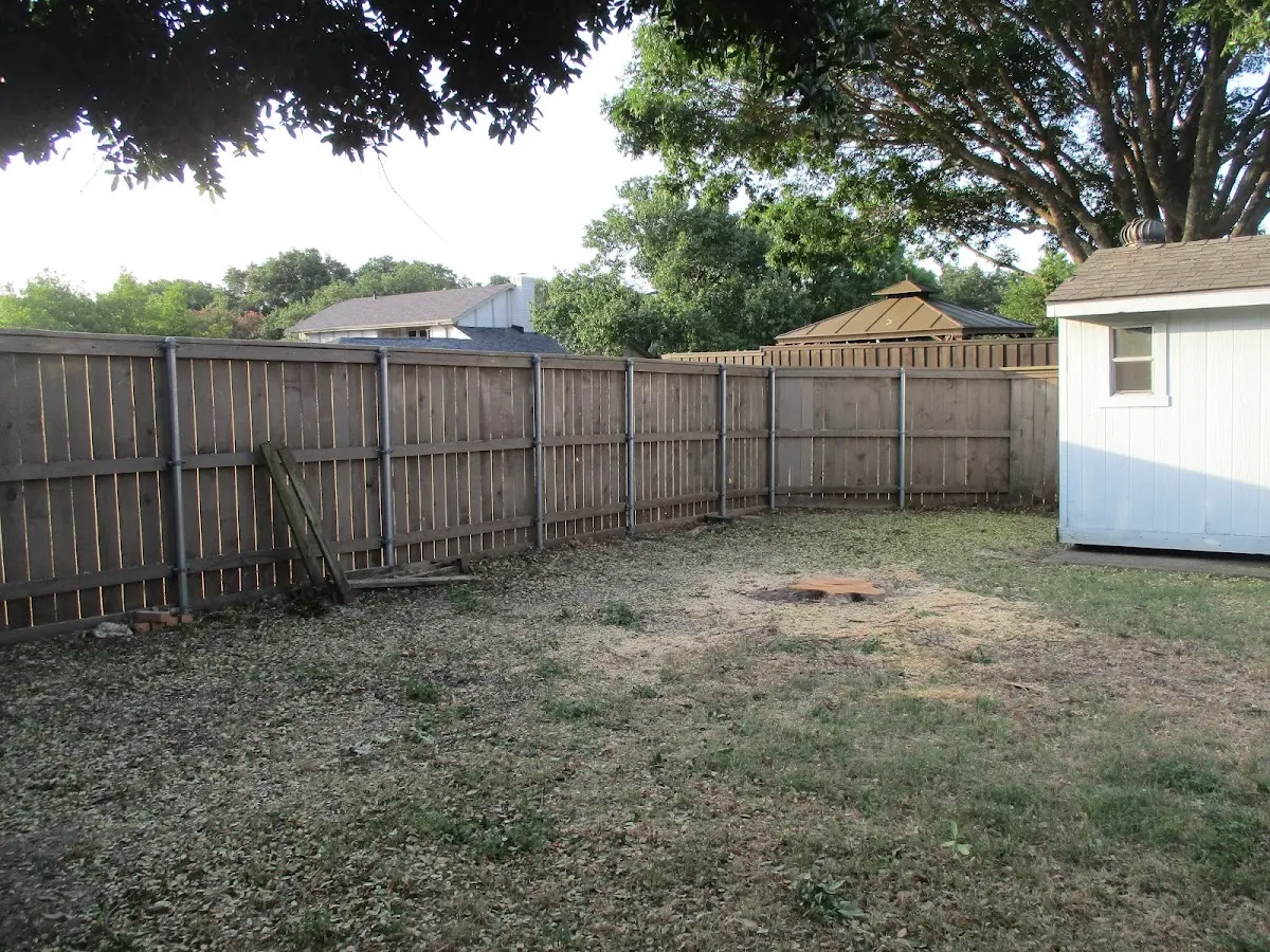 Cleared yard after professional tree removal in Carbon Cliff