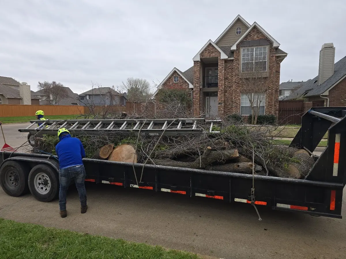 Expert Tree Fertilization with proper safety equipment in Carbon Cliff